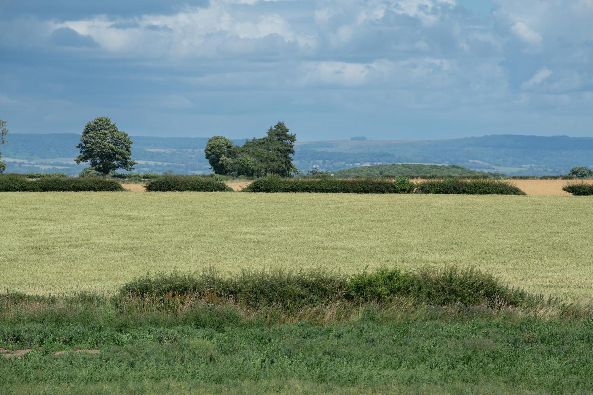 Green End House Ripon Esterno foto